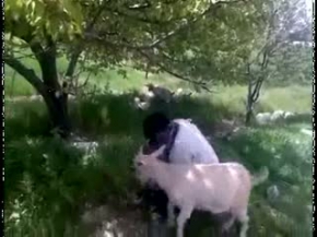 Keçiyle keçi olmak bu olsa gerek...