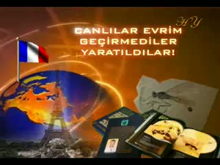 Ogrenciler Evrime İnanmıyor!!