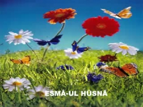 Esma-ul HusnÃ¢