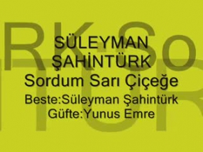 Sordum Sarı Çiçeğe