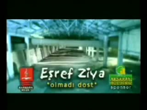 Esref Ziya / OLMADI DOST