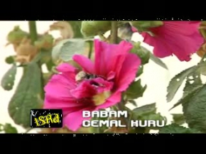 CEMAL KURU - BABAM