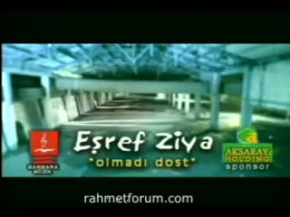 Eşref Ziya Terzi - Olmadı Dost