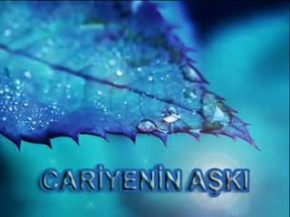 Cariyenin Aşkı