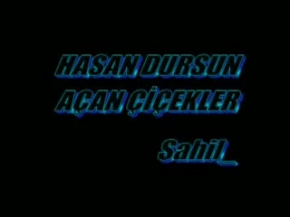 Hasan Dursun - Açan Çiçekler