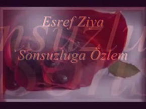 Esref Ziya - Sonsuzluğa özlem