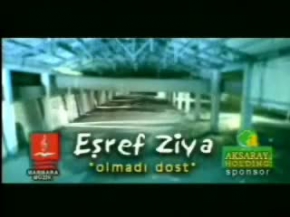 Eşref Ziya - Olmadı Dost