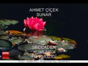 seccaden kumlardı - fon müziği