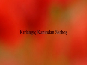 Kirlangic Kanindan Sarhos