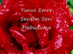 Yunus Emre - Sevdim Seni Mabuduma